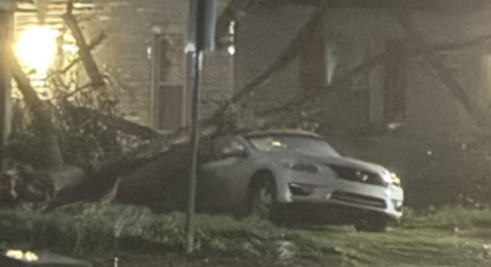 Downed tree on 1600 block of Covert Ave